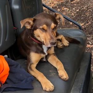 Meet your Posher, Tracey